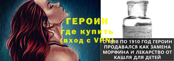 сатива Новозыбков