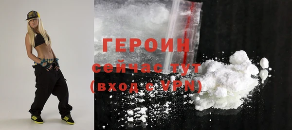 сатива Новозыбков