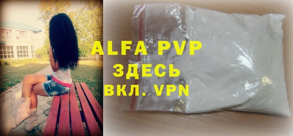 сатива Новозыбков