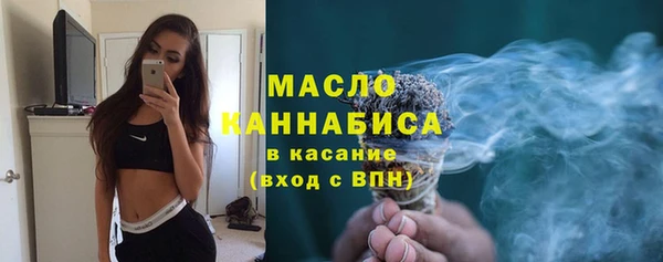 сатива Новозыбков