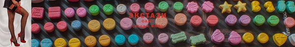 сатива Новозыбков