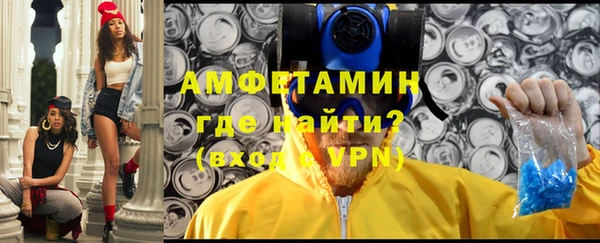 сатива Новозыбков