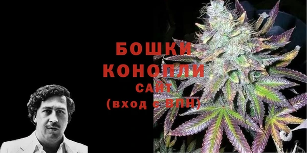 сатива Новозыбков