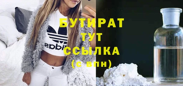 сатива Новозыбков