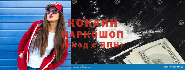 дживик Болотное