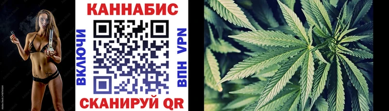MEGA как войти  Орёл  МАРИХУАНА SATIVA & INDICA  где можно купить  